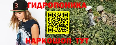 стаф Бугуруслан