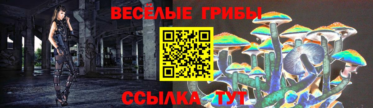 дарнет шоп  Вход с VPN  Подольск  Галлюциногенные грибы ЛСД 